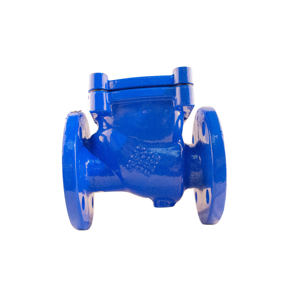 Válvula de retención Swing Check PTV Reto-Pro GG25, clasificada para PN16, diseñada para aplicaciones industriales con control de flujo y alta resistencia.