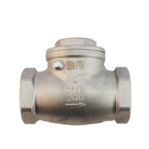 Válvula de retención Swing Check PTV SS316/SS316 con roscas NPT, clasificada para 200 PSI, ideal para aplicaciones industriales con control de flujo y resistencia a la corrosión.