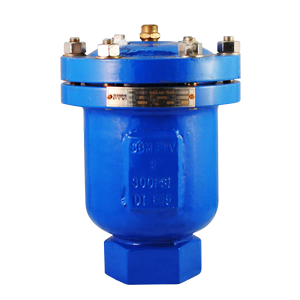 SIMPLE EF. PTV A-200 DI/SS316 300PSI NPT